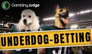 best underdog betting system